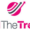 sellthetrend-group-buy